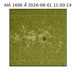 saia - 2026-06-01T11:00:14.123000