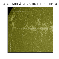 saia - 2026-06-01T09:00:14.124000