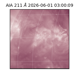 saia - 2026-06-01T03:00:09.631000