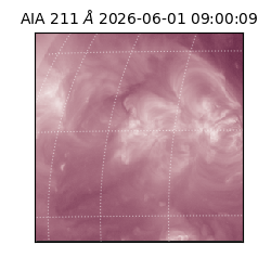 saia - 2026-06-01T09:00:09.624000