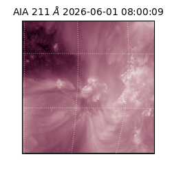 saia - 2026-06-01T08:00:09.632000