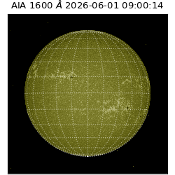 saia - 2026-06-01T09:00:14.124000