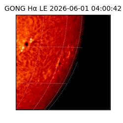 gong - 2026-06-01T04:00:42