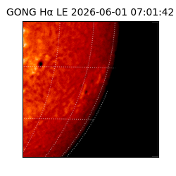 gong - 2026-06-01T07:01:42