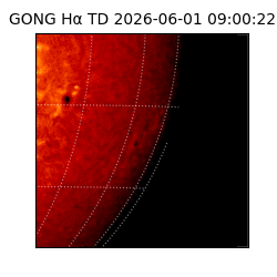 gong - 2026-06-01T09:00:22