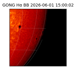 gong - 2026-06-01T15:00:02