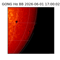 gong - 2026-06-01T17:00:02