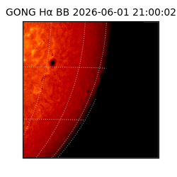 gong - 2026-06-01T21:00:02
