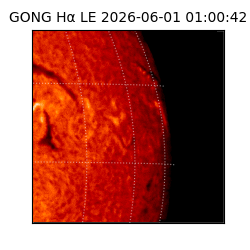 gong - 2026-06-01T01:00:42