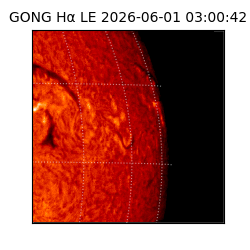gong - 2026-06-01T03:00:42