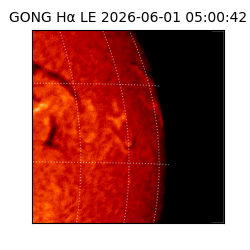 gong - 2026-06-01T05:00:42