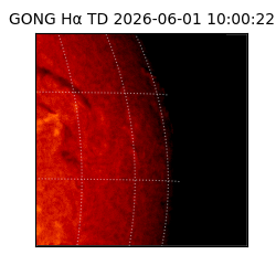 gong - 2026-06-01T10:00:22