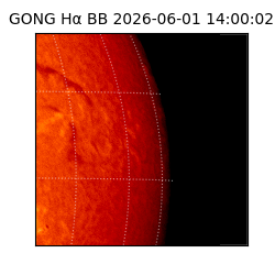 gong - 2026-06-01T14:00:02