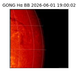 gong - 2026-06-01T19:00:02
