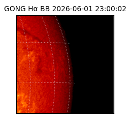gong - 2026-06-01T23:00:02