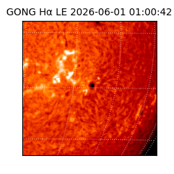gong - 2026-06-01T01:00:42