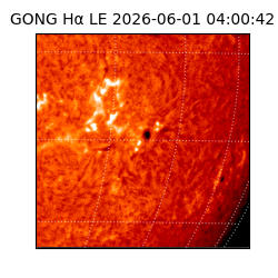 gong - 2026-06-01T04:00:42
