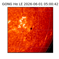 gong - 2026-06-01T05:00:42