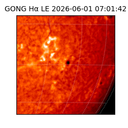 gong - 2026-06-01T07:01:42