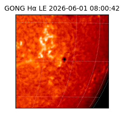 gong - 2026-06-01T08:00:42