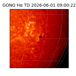 gong - 2026-06-01T09:00:22