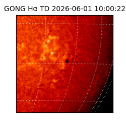 gong - 2026-06-01T10:00:22