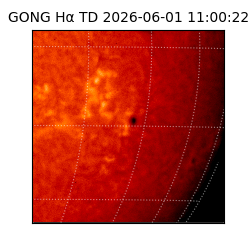 gong - 2026-06-01T11:00:22