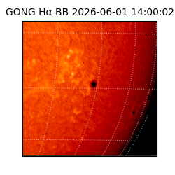 gong - 2026-06-01T14:00:02