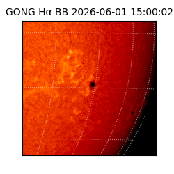 gong - 2026-06-01T15:00:02