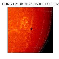 gong - 2026-06-01T17:00:02
