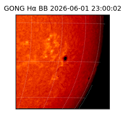 gong - 2026-06-01T23:00:02