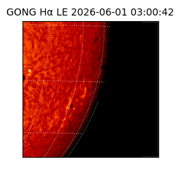 gong - 2026-06-01T03:00:42
