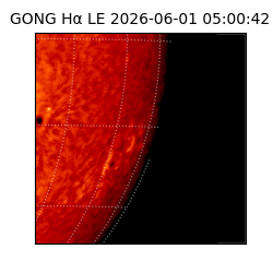 gong - 2026-06-01T05:00:42