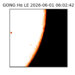 gong - 2026-06-01T06:02:42