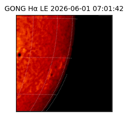 gong - 2026-06-01T07:01:42