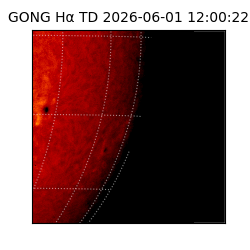 gong - 2026-06-01T12:00:22