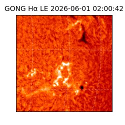 gong - 2026-06-01T02:00:42