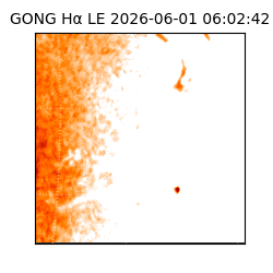 gong - 2026-06-01T06:02:42