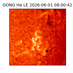 gong - 2026-06-01T08:00:42