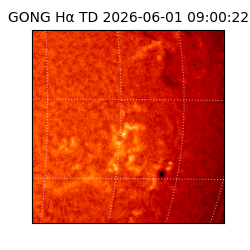gong - 2026-06-01T09:00:22