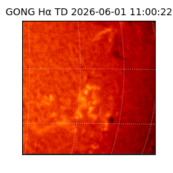 gong - 2026-06-01T11:00:22