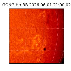 gong - 2026-06-01T21:00:02