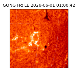 gong - 2026-06-01T01:00:42