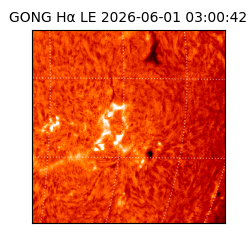 gong - 2026-06-01T03:00:42