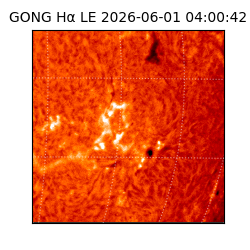 gong - 2026-06-01T04:00:42