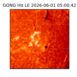 gong - 2026-06-01T05:00:42