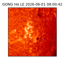 gong - 2026-06-01T08:00:42
