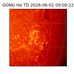 gong - 2026-06-01T09:00:22