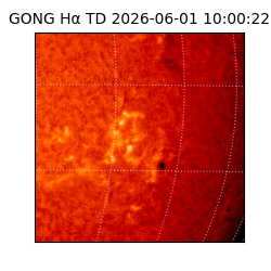 gong - 2026-06-01T10:00:22
