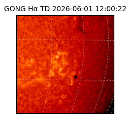 gong - 2026-06-01T12:00:22
